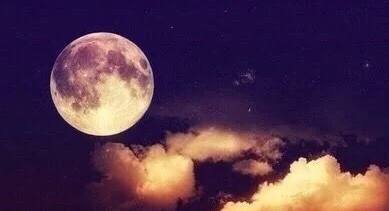 清茶泡香，明月同行-茶馆网