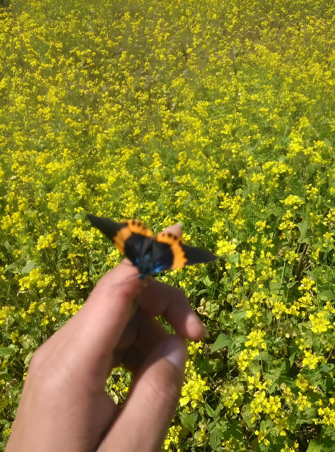 万物有灵，天地自然-茶馆网