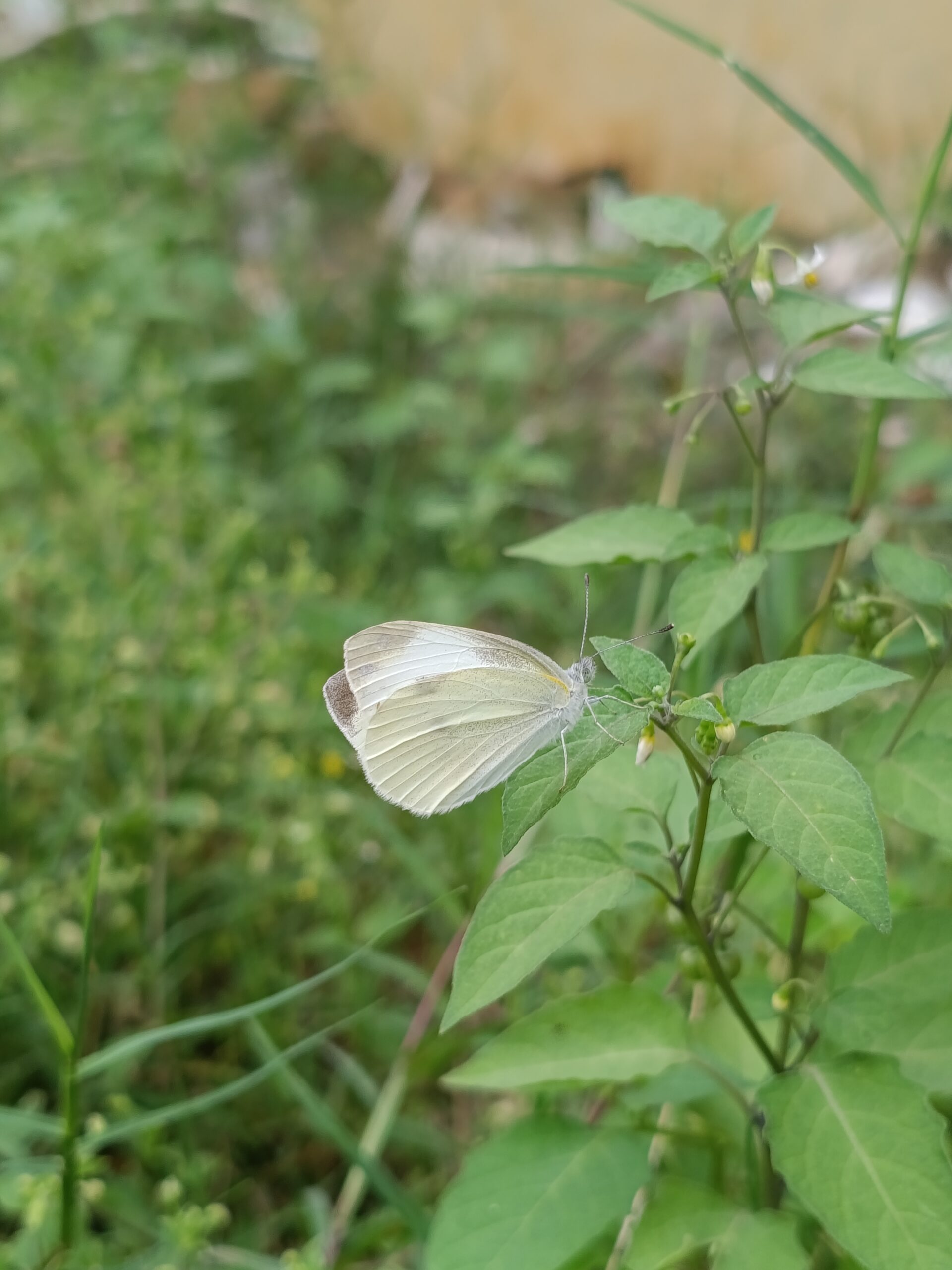 茶馆网-茶间一盏灯-云茶馆|以灯为引聚集志同道合的人|一家有温度的平台
