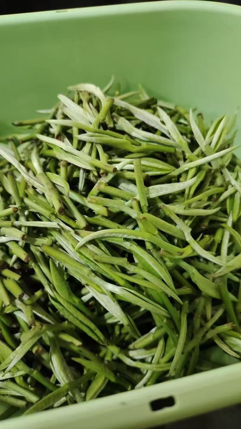 茶馆网-茶间一盏灯-云茶馆|以灯为引聚集志同道合的人|一家有温度的平台