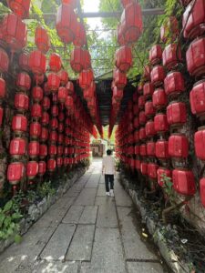 状元坊一日游-茶馆网